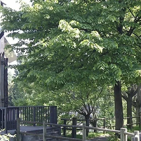 Armine Hotel Basauri